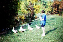 Becky Dorrough; ducks